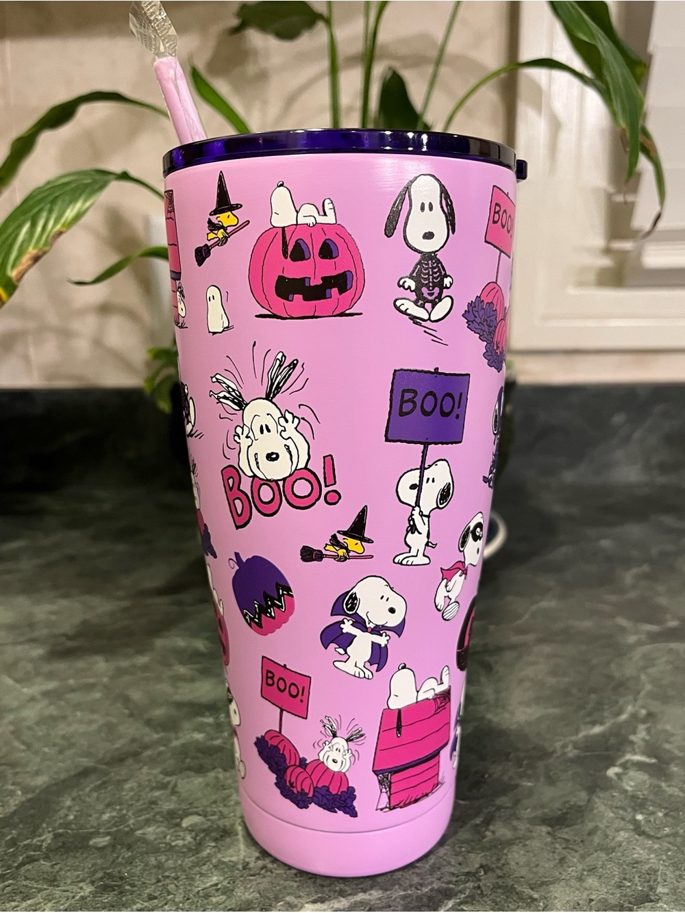 *NWT* Peanuts Snoopy Halloween 2026 Stainless Steel Tumbler 30 oz